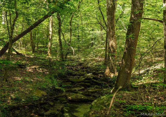 Land for sale at 0 Mountain View Ln, West Blocton, AL 35184 | MLS# 587802