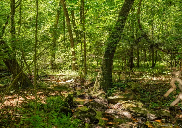 Photo 2 of Land for sale at 0 Mountain View Ln, West Blocton, AL 35184 | MLS# 587802 | Listing updated on 2026-09-05