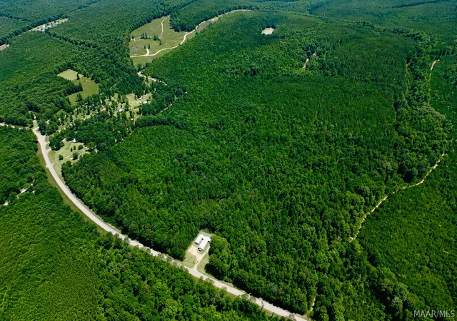 Photo 4 of Land for sale at 20038 Highway 21, Beatrice, AL 36425 | MLS# 587921 | Listing updated on 2026-08-29