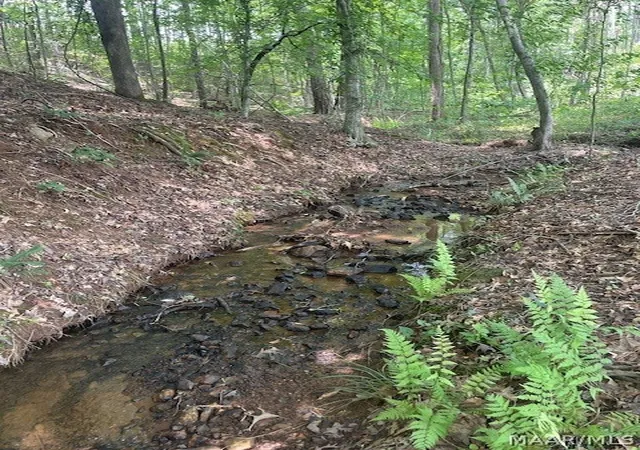 Photo 3 of Land for sale at 5000 Mines Rd, Ashland, AL 36251 | MLS# 587998 | Listing updated on 2026-09-02