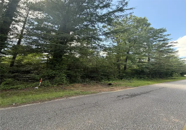 Photo 4 of Land for sale at 600 County Rd 139 Dr, Sylacauga, AL 35150 | MLS# 588025 | Listing updated on 2026-09-05