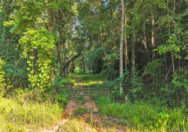 Photo 3 of Land for sale at O Burt Ml Rd, Tallassee, AL 36078 | MLS# 588031 | Listing updated on 2026-09-10