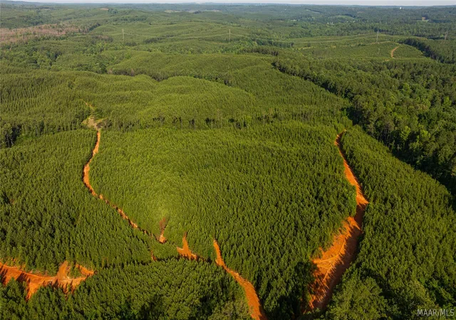 Photo 2 of Land for sale at 00 Bishop Ridge Rd, West Blocton, AL 35184 | MLS# 587794 | Listing updated on 2026-09-05