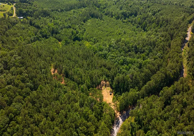 Photo 2 of Land for sale at 000 Bishop Ridge Rd, West Blocton, AL 35184 | MLS# 587801 | Listing updated on 2026-09-05
