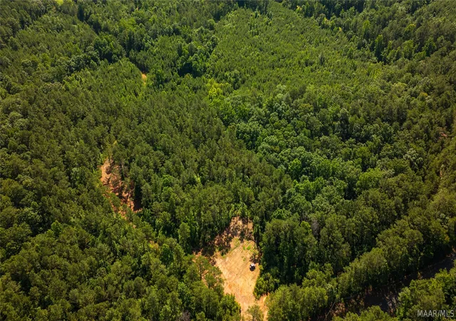 Photo 3 of Land for sale at 000 Bishop Ridge Rd, West Blocton, AL 35184 | MLS# 587801 | Listing updated on 2026-09-05