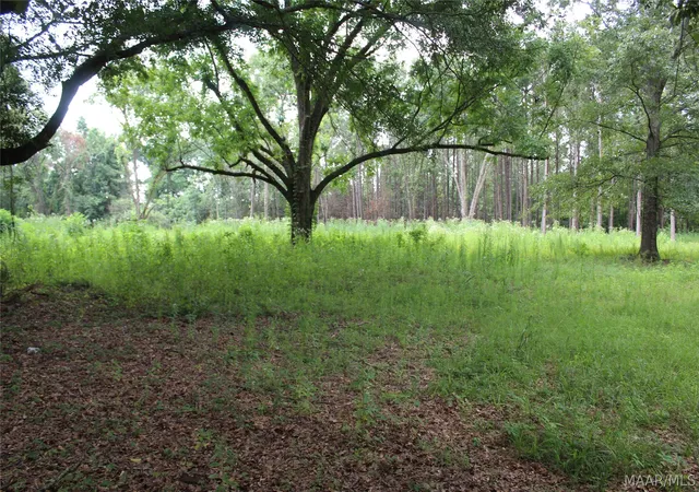 Photo 1 of Land for sale at 1563 Fort Deposit Rd, Fort Deposit, AL 36032 | MLS# 588295 | Listing updated on 2026-09-04