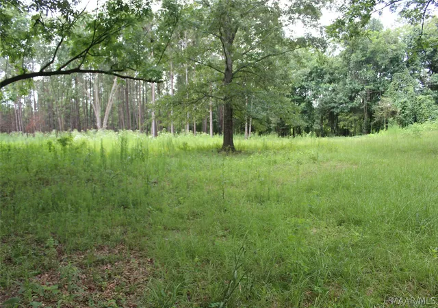 Photo 2 of Land for sale at 1563 Fort Deposit Rd, Fort Deposit, AL 36032 | MLS# 588295 | Listing updated on 2026-09-04