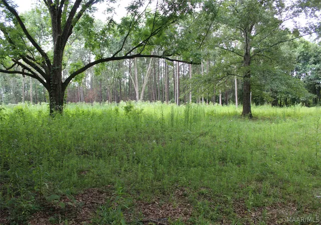 Photo 3 of Land for sale at 1563 Fort Deposit Rd, Fort Deposit, AL 36032 | MLS# 588295 | Listing updated on 2026-09-04