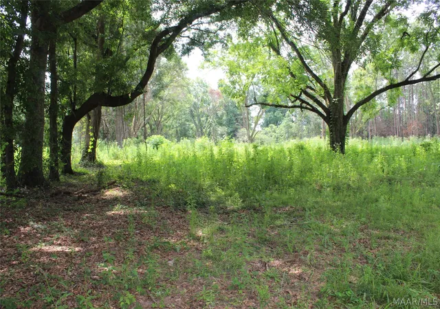 Photo 3 of Land for sale at 1563 Fort Deposit Rd, Fort Deposit, AL 36032 | MLS# 588295 | Listing updated on 2026-09-04