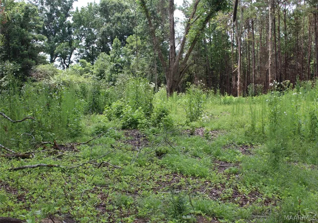 Photo 4 of Land for sale at 1563 Fort Deposit Rd, Fort Deposit, AL 36032 | MLS# 588295 | Listing updated on 2026-09-04
