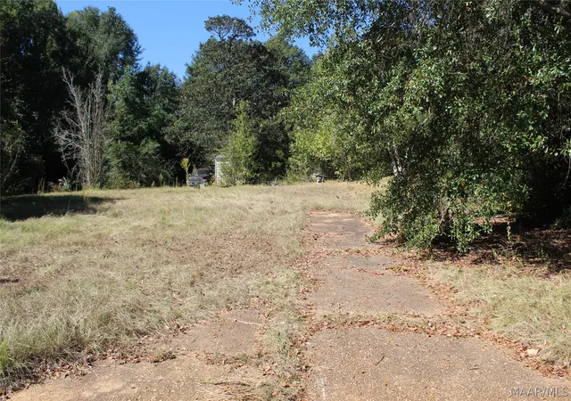 Land for sale at 209 Chestnut St, Greenville, AL 36037 | MLS# 588303