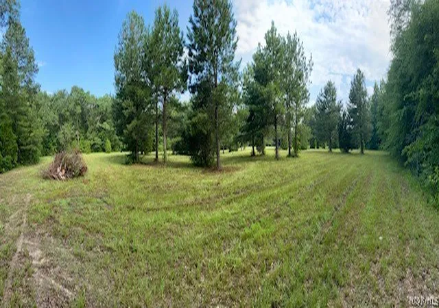 Photo 1 of Land for sale at 381 Hooks Rd, Shorter, AL 36075 | MLS# 588162 | Listing updated on 2026-09-08