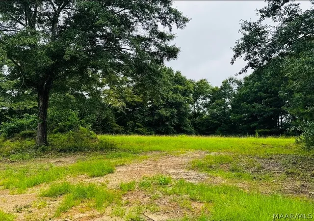 Photo 3 of Land for sale at 277 Central Ave, Eclectic, AL 36024 | MLS# 588633 | Listing updated on 2026-09-02