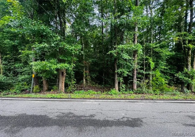 Photo 3 of Land for sale at 343 Central Ave, Eclectic, AL 36024 | MLS# 588635 | Listing updated on 2026-09-02