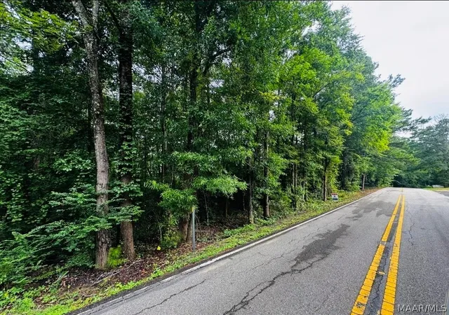 Photo 4 of Land for sale at 343 Central Ave, Eclectic, AL 36024 | MLS# 588635 | Listing updated on 2026-09-02