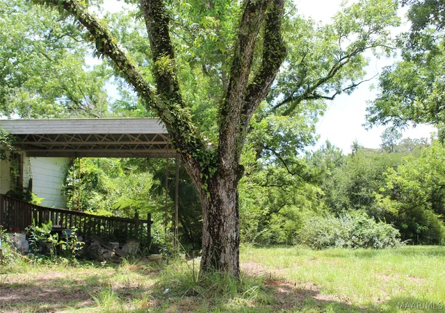 Photo 3 of Single family home for sale at 8543 Pineapple Hwy, Greenville, AL 36037 | MLS# 588764 | Listing updated on 2026-09-04