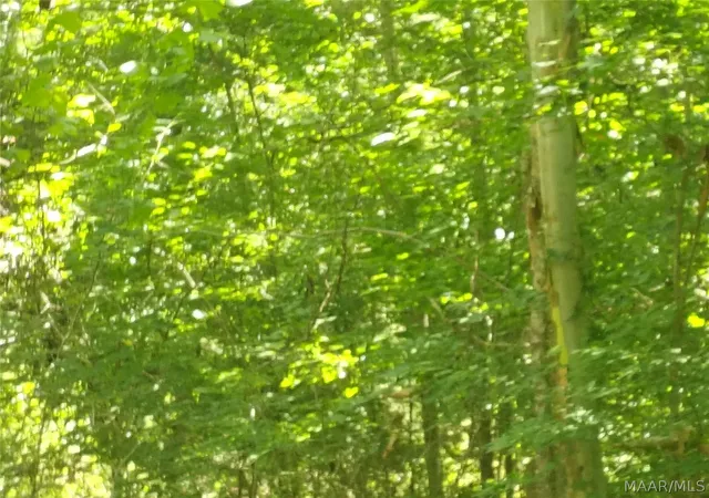 Photo 3 of Land for sale at 956 Bowden Hl Rd, Titus, AL 36080 | MLS# 588766 | Listing updated on 2026-08-30