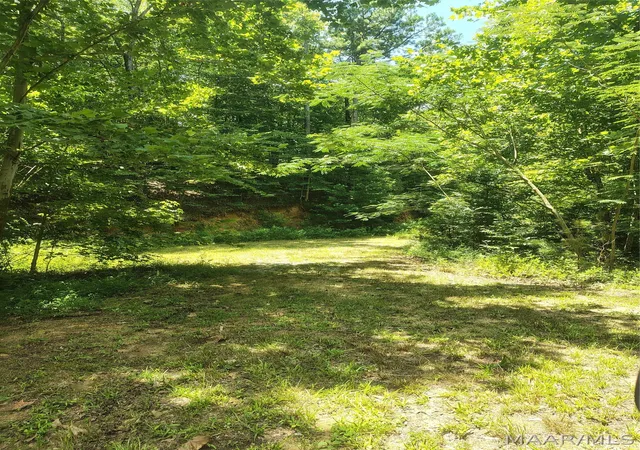 Photo 4 of Land for sale at 956 Bowden Hl Rd, Titus, AL 36080 | MLS# 588766 | Listing updated on 2026-08-30