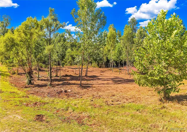 Photo 3 of Land for sale at 0 Water St, Wetumpka, AL 36092 | MLS# 588823 | Listing updated on 2026-09-11