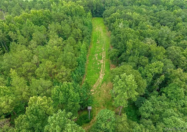 Photo 13 of Land for sale at 41 County Rd 24, Auburn, AL 36830 | MLS# 588891 | Listing updated on 2026-09-25