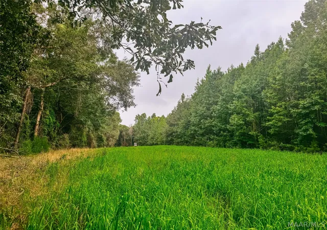 Photo 1 of Land for sale at 41 County Rd 24, Auburn, AL 36830 | MLS# 588891 | Listing updated on 2026-09-25