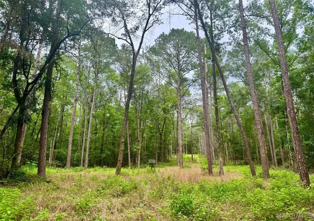 Photo 2 of Land for sale at 41 County Rd 24, Auburn, AL 36830 | MLS# 588891 | Listing updated on 2026-09-25