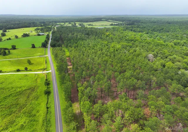 Photo 3 of Land for sale at 41 County Rd 24, Auburn, AL 36830 | MLS# 588891 | Listing updated on 2026-09-25