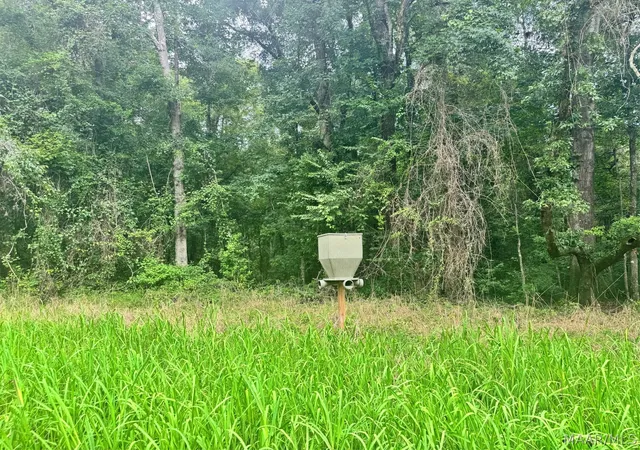 Photo 3 of Land for sale at 41 County Rd 24, Auburn, AL 36830 | MLS# 588891 | Listing updated on 2026-09-25