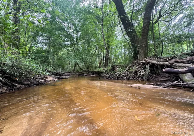 Photo 4 of Land for sale at 41 County Rd 24, Auburn, AL 36830 | MLS# 588891 | Listing updated on 2026-09-25