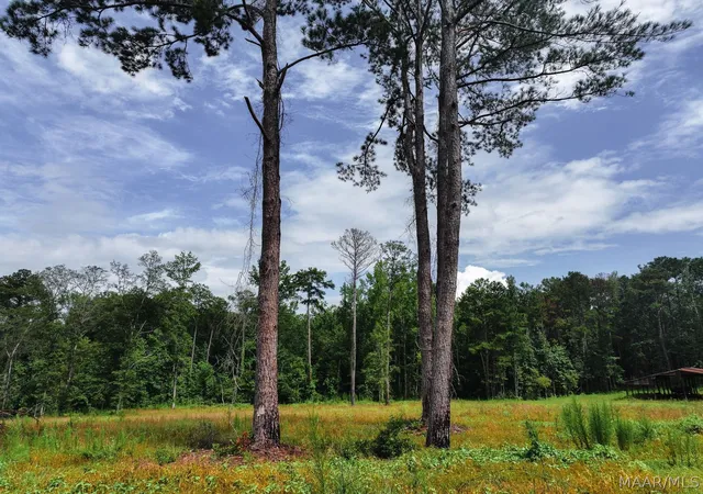 Photo 10 of Land for sale at 13 County Rd 24, Auburn, AL 36830 | MLS# 588895 | Listing updated on 2026-09-25