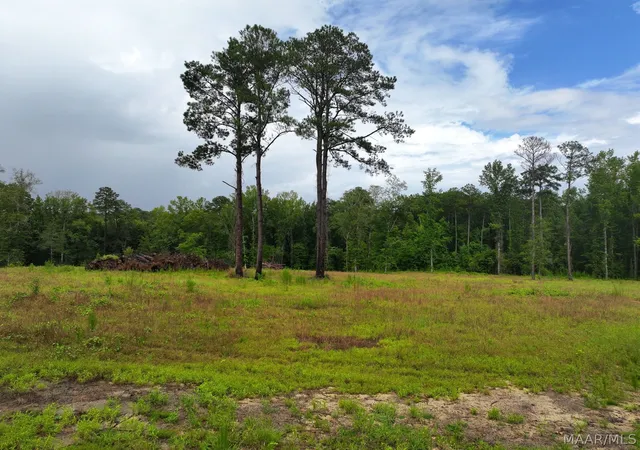 Photo 1 of Land for sale at 13 County Rd 24, Auburn, AL 36830 | MLS# 588895 | Listing updated on 2026-09-25