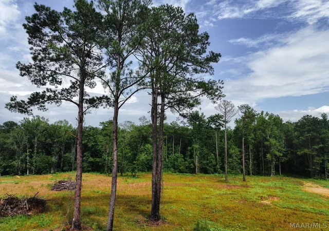 Photo 2 of Land for sale at 13 County Rd 24, Auburn, AL 36830 | MLS# 588895 | Listing updated on 2026-09-25