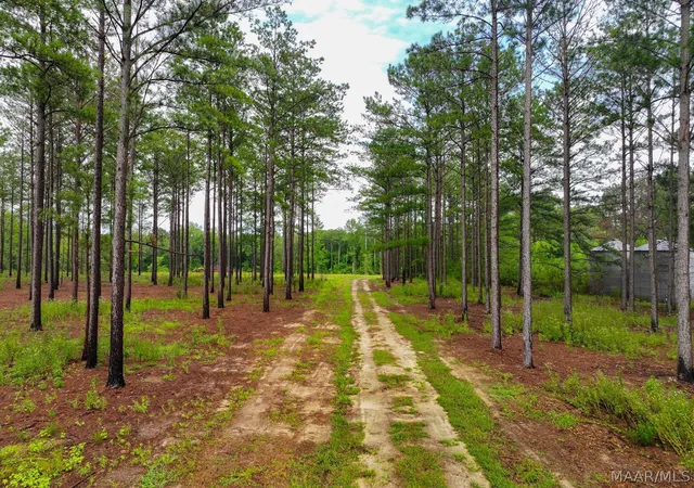 Photo 3 of Land for sale at 13 County Rd 24, Auburn, AL 36830 | MLS# 588895 | Listing updated on 2026-09-25