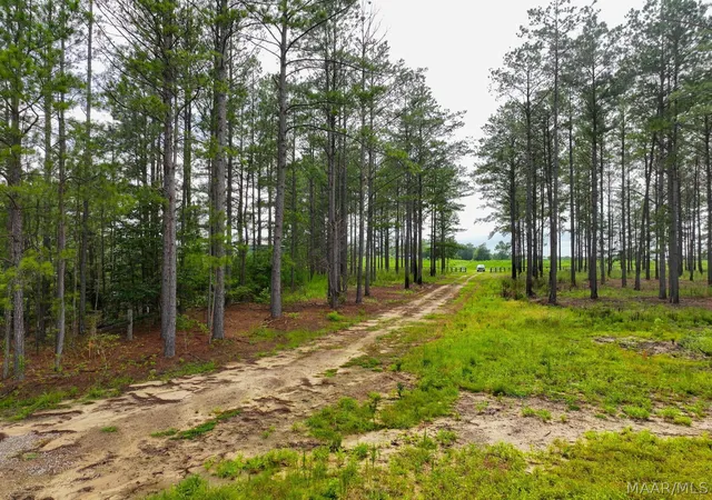 Photo 4 of Land for sale at 13 County Rd 24, Auburn, AL 36830 | MLS# 588895 | Listing updated on 2026-09-25