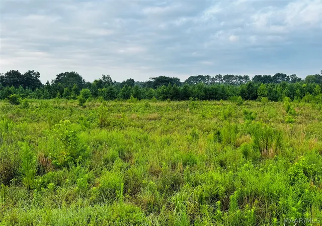 Photo 2 of Land for sale at 8001 Lightwood Rd, Marbury, AL 36051 | MLS# 589020 | Listing updated on 2026-09-02