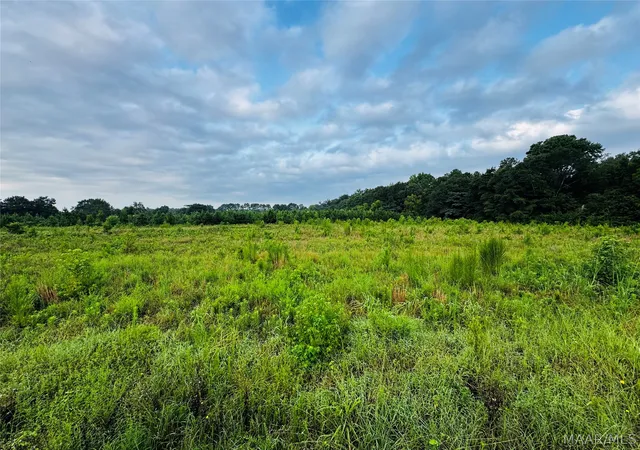 Photo 3 of Land for sale at 8001 Lightwood Rd, Marbury, AL 36051 | MLS# 589020 | Listing updated on 2026-09-02
