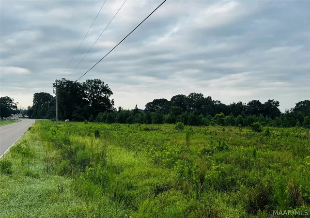 Photo 3 of Land for sale at 8001 Lightwood Rd, Marbury, AL 36051 | MLS# 589020 | Listing updated on 2026-09-02