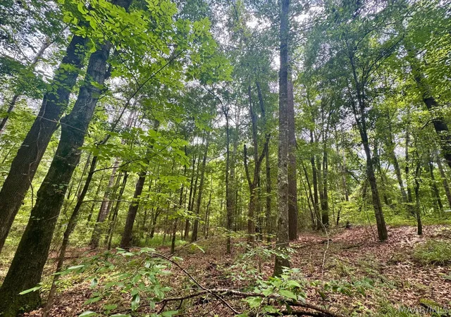 Photo 1 of Land for sale at 45 Highway 29, Union Springs, AL 36089 | MLS# 589029 | Listing updated on 2026-09-25