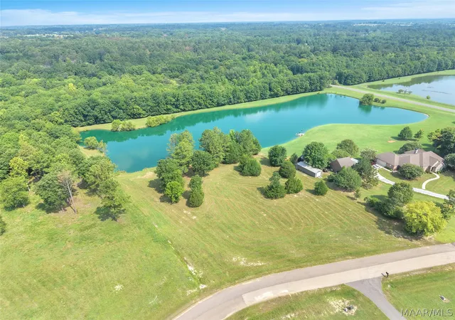 Photo 2 of Land for sale at Lot 1 Leahmon Ln, Mathews, AL 36052 | MLS# 588991 | Listing updated on 2026-09-02