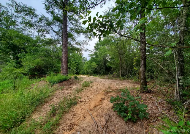 Photo 3 of Land for sale at 1657 County Rd 19 N, Prattville, AL 36067 | MLS# 589075 | Listing updated on 2026-09-04