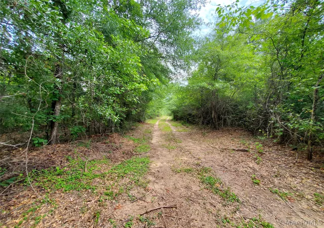 Photo 4 of Land for sale at 1657 County Rd 19 N, Prattville, AL 36067 | MLS# 589075 | Listing updated on 2026-09-04