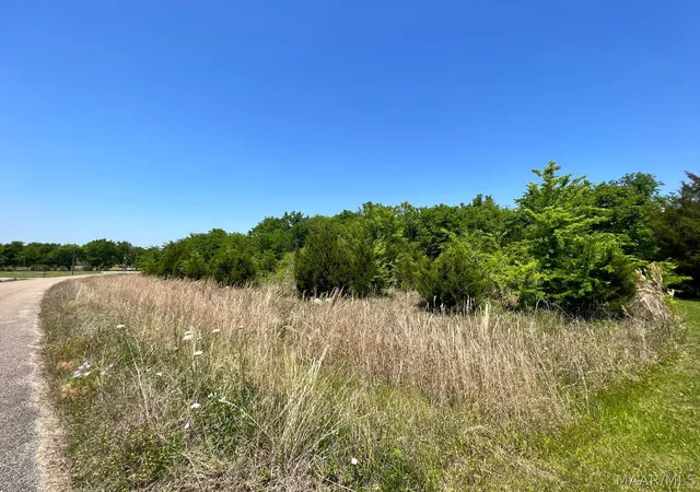 Photo 3 of Land for sale at 4164 Fair Meadow Ln, Pike Road, AL 36064 | MLS# 589212 | Listing updated on 2026-09-02