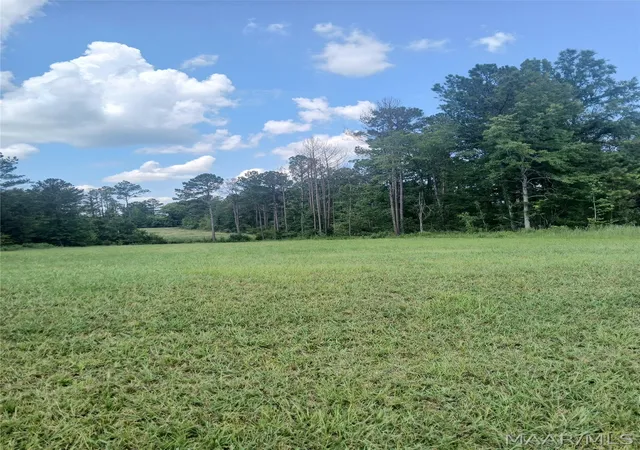 Photo 2 of Land for sale at 157 Woods N Water Ln, Mathews, AL 36052 | MLS# 589286 | Listing updated on 2026-09-06