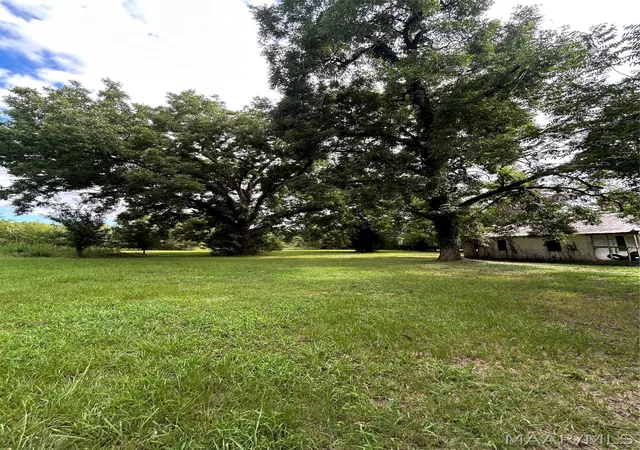 Photo 3 of Land for sale at 339 Darlington Rd, Camden, AL 36726 | MLS# 589580 | Listing updated on 2026-09-11