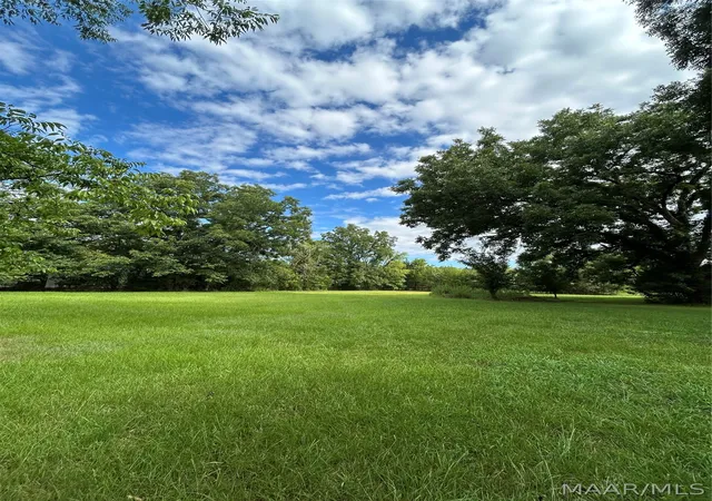 Photo 3 of Land for sale at 339 Darlington Rd, Camden, AL 36726 | MLS# 589580 | Listing updated on 2026-09-11