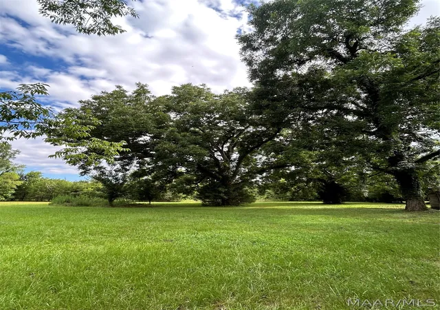 Photo 4 of Land for sale at 339 Darlington Rd, Camden, AL 36726 | MLS# 589580 | Listing updated on 2026-09-11