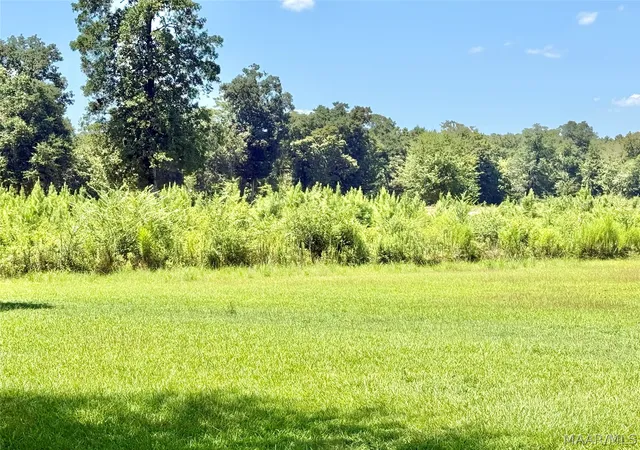 Photo 1 of Land for sale at 0 Warrior Dr, Selma, AL 36701 | MLS# 589734 | Listing updated on 2026-09-10