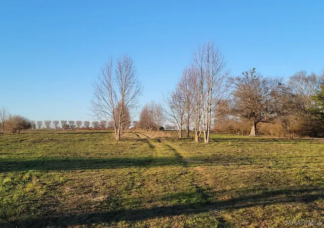 Photo 3 of Land for sale at 2091 County Road 13 Road, Clanton, AL 35045 | MLS# 589912 | Listing updated on 2026-09-02