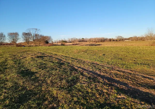 Photo 3 of Land for sale at 2091 County Road 13 Road, Clanton, AL 35045 | MLS# 589912 | Listing updated on 2026-09-02