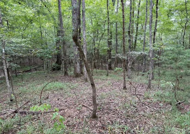 Land for sale at 0 County Road 199, Troy, AL 36081 | MLS# 589906